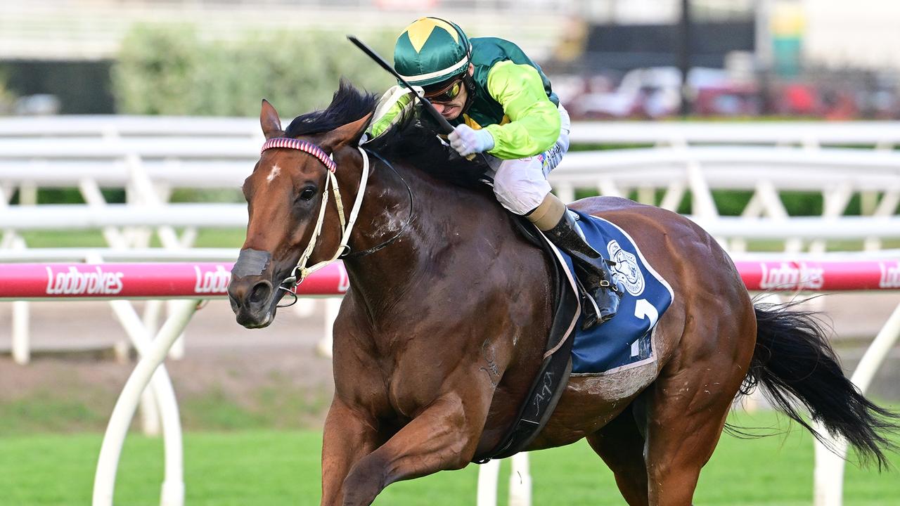 Yellow Brick is bound for the Group 1 Stradbroke Handicap during the Queensland winter carnival. Picture: Grant Peters/Trackside Photography.