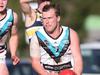 Ominous warning: Cygnet boosted by huge inclusion