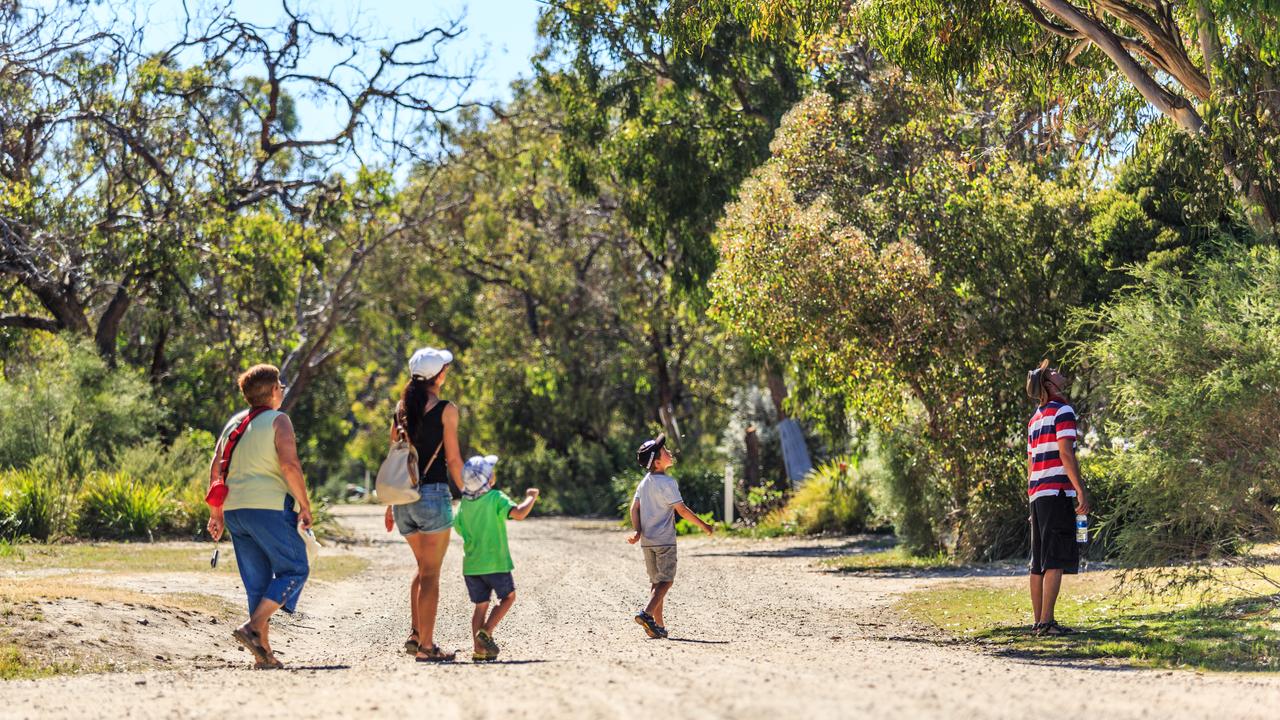 Raymond Island is the perfect day trip spot for families to explore. Picture: Supplied