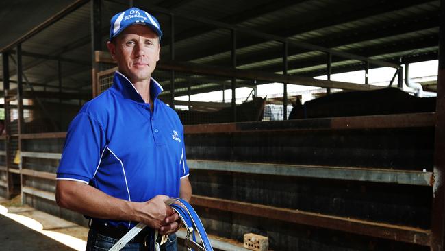 Trainer David Kelly is confident Camillo can snare a win at Grafton on Thursday. Picture: Brendan Radke.