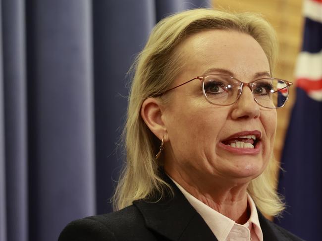 CANBERRA, AUSTRALIA - MAY 13: Leader of the Opposition Sussan Ley  addresses the media at a press conference at Parliament House on May 13, 2025 in Canberra, Australia. Ley became the first woman to lead the party after winning a party room vote 29-25 against Angus Taylor. (Photo by Hilary Wardhaugh/Getty Images)