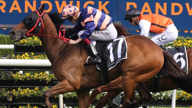 Villiers winner Brutality is ready to peak in The Gong. Picture: Grant Guy