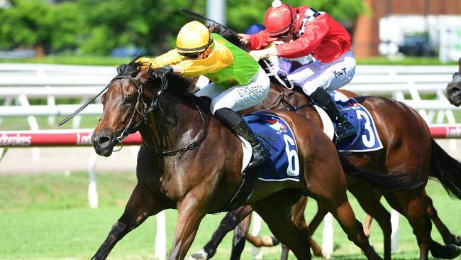 All That Pizzazz storms home to win the Listed Bribie Handicap at Eagle Farm under Ben Thompson. Picture: Natasha Wood - Trackside Photography