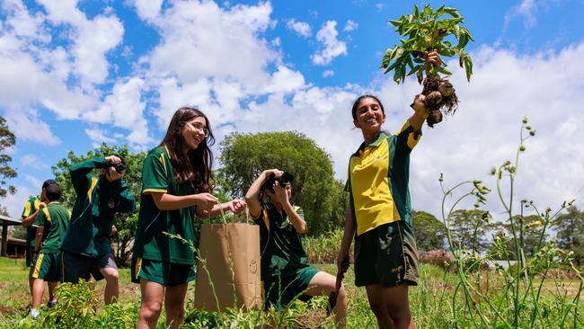 Aurelien Xu, 16, Saamiya Abbas, 16, Flora Li, 14, and Akshara Jayalakshmi, 16. The photography club captures happy snaps of an agriculture class harvesting potatoes. Picture: Justin Lloyd.