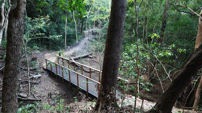 Stage One of the Wangetti Trail, an 7.8 kilometre stretch of what will eventually become a 94 kilometre hiking and mountain biking track connecting Palm Cove to Port Douglas along the Macalister Range National Park, designed and built by the Queensland Government and the local indigenous people. Picture: Brendan Radke