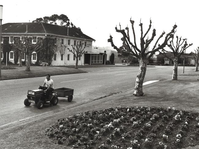 A gardener at work in Yallourn, 1981. Picture: HWT Library