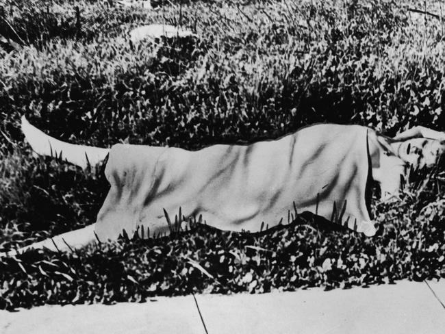 Short was dumped on a grassy verge in a undeveloped LA street. Picture: Getty