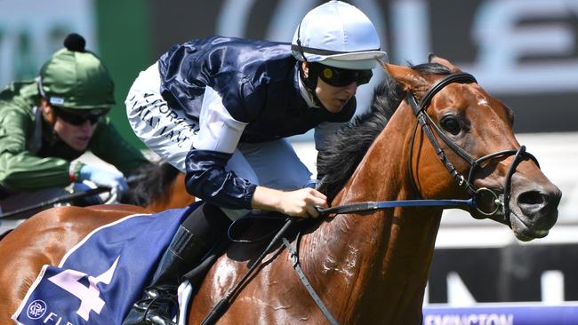 King Of Leogrance has plenty of staying potential. Picture: AAP