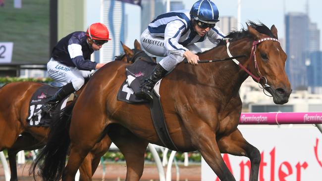 Damian Lane rides Amelie's Star to victory in The Bart Cummings on Turnbull Stakes day at Flemington. Picture: Getty Images