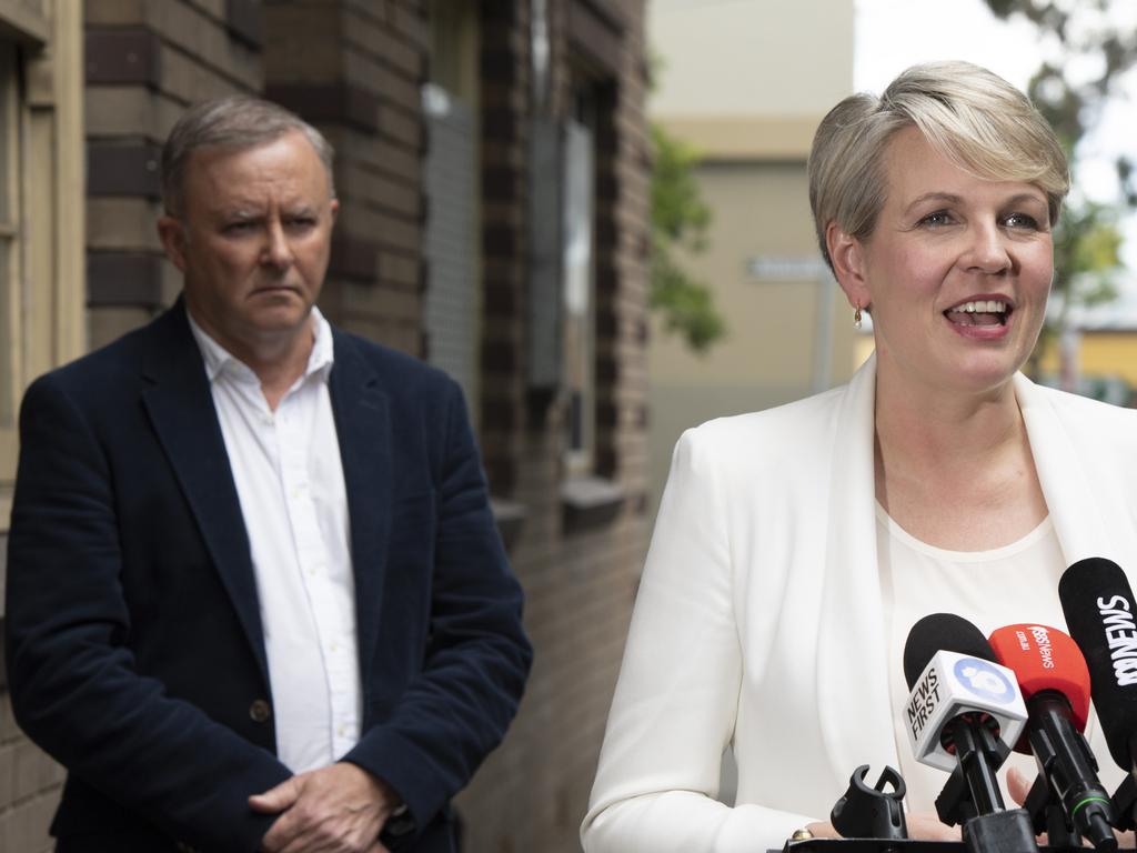 Anthony Albanese said earlier this month: ‘Tanya Plibersek has the job that she wants, which is the shadow education minister.’ Picture: NCA NewsWire/ Monique Harmer