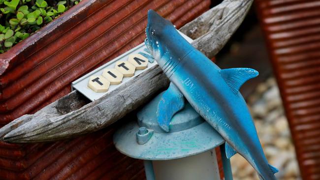 Toy sharks also make an appearance. Picture: Angelo Velardo