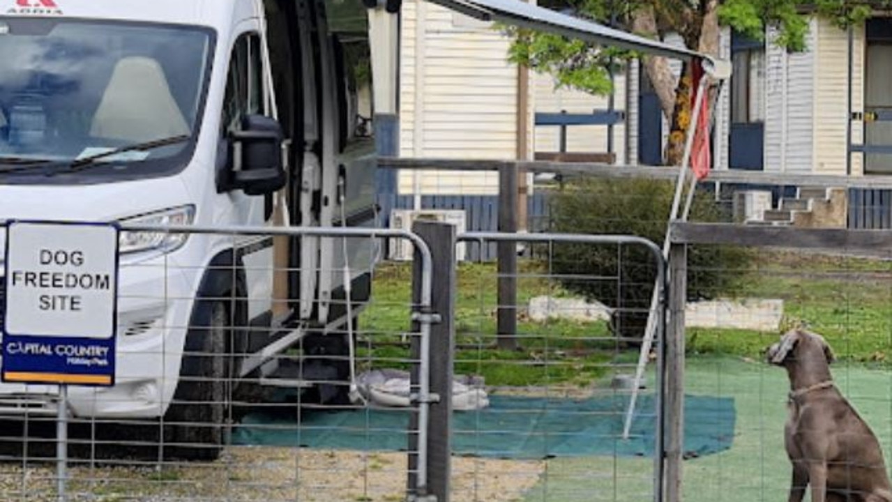 Dog fence for clearance caravan