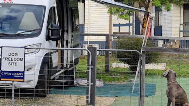 The Capital Country Caravan Park has ‘dog freedom sites’. Picture: Google Maps