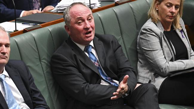 Barnaby Joyce labelled Matt Kean as someone who is “consistently treacherous.” Picture: NCA NewsWire / Martin Ollman