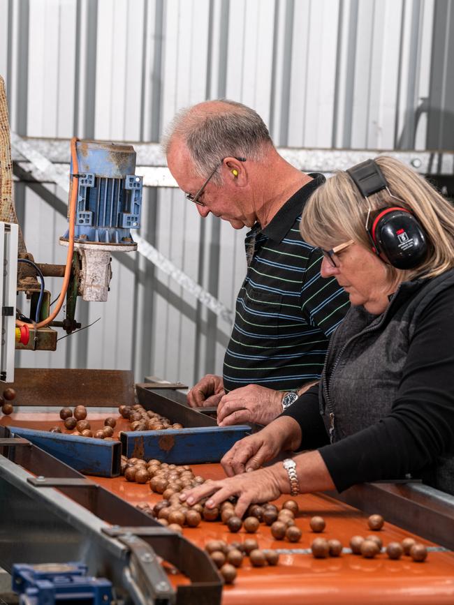 Rae Stuart and Tony Pashley on their macadamia property.