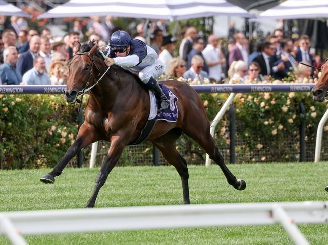 What You Need ridden by Ben Melham wins the Sunlight Classic at Flemington Racecourse on March 25, 2023 in Flemington, Australia. (Photo by George Sal/Racing Photos via Getty Images)