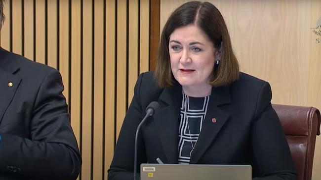 Senator Sarah Henderson during the Senate Legal and Constitutional Affairs Legislation Committee on Tuesday. Picture: Supplied / YouTube