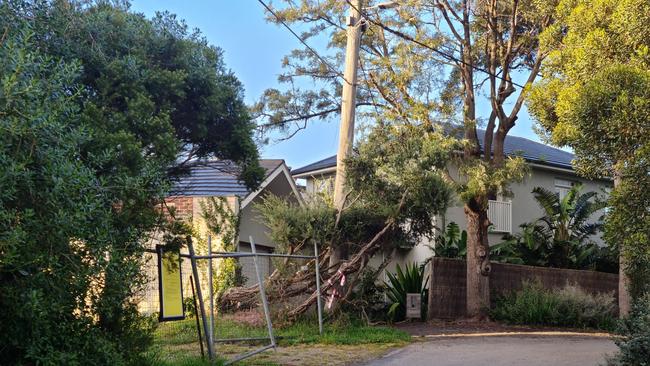 The Beaumaris block where Bogut’s dream home will be built.