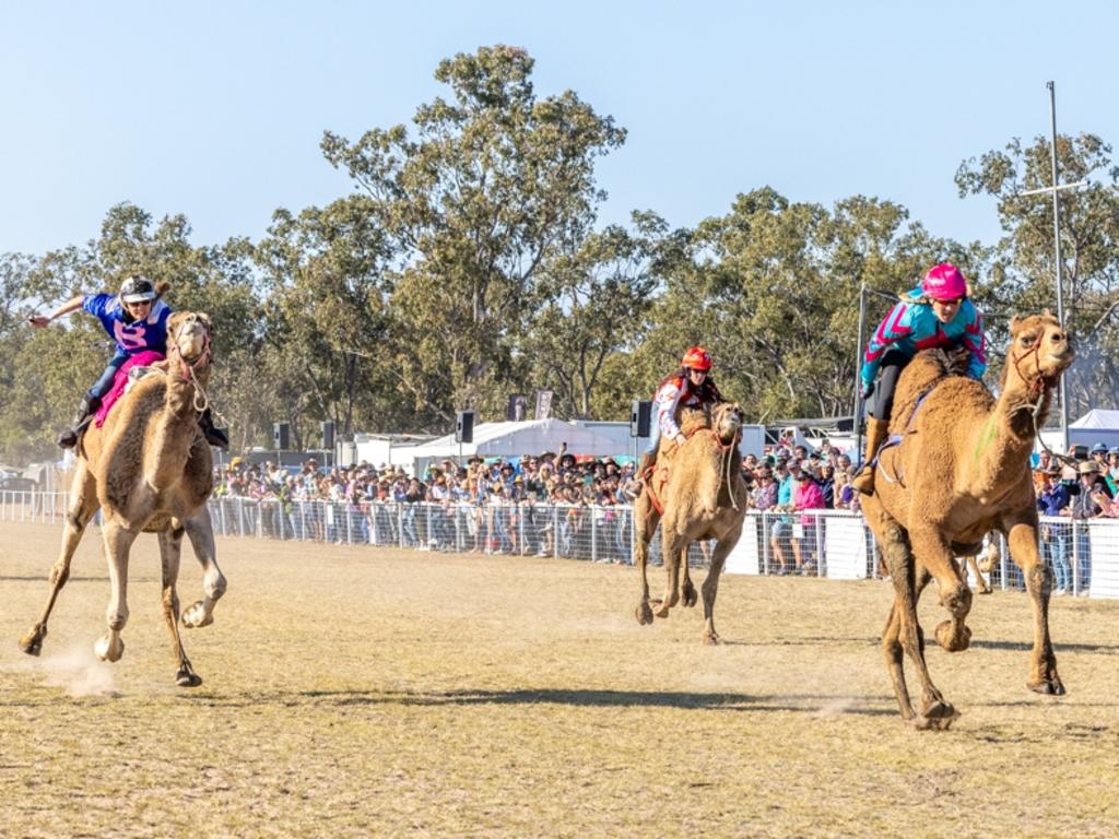 'Foxy Lady' Wins Saturday Heat 3 at Tara Festival. Photo: Jo Thieme.