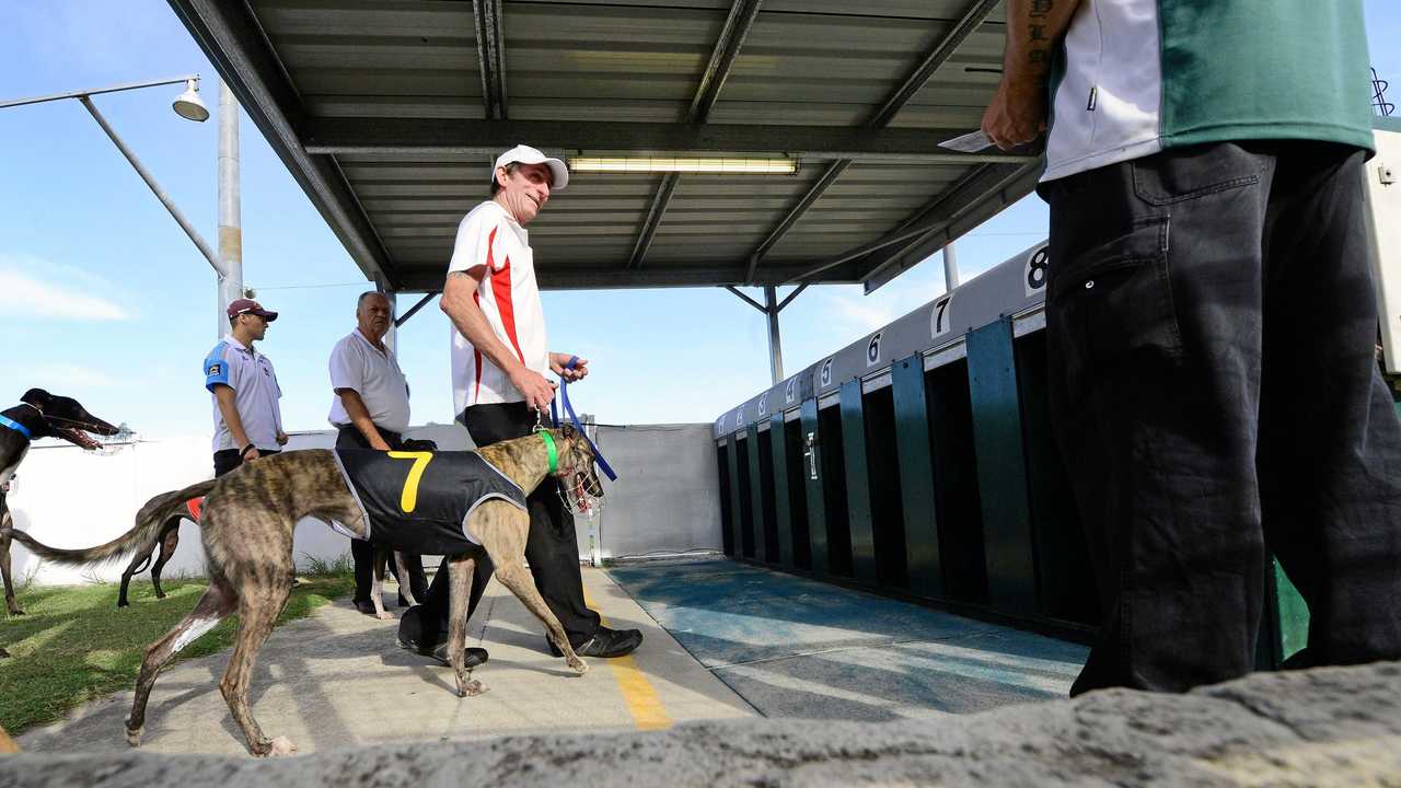 Ipswich Greyhound Racing Club officials remain stuck at the boxes in their bid to have a new track confirmed. Picture: David Nielsen