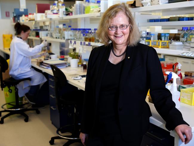 Hobart-born Professor Elizabeth Blackburn, winner of the Nobel prize. Picture: Colin Murty