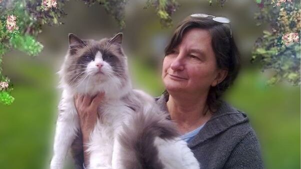 Sandra Yandell has run a cat breeding operation since 2008. Picture: Sandra Yandell Facebook page.