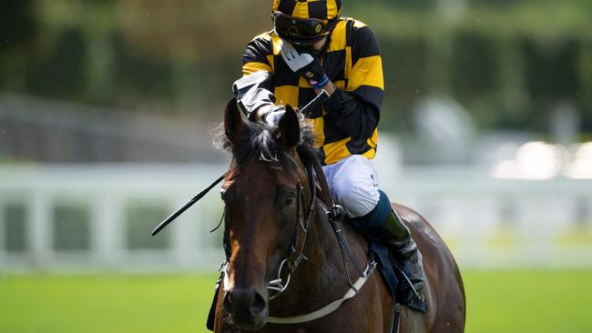 Jockey Kevin Stott celebrates after riding Hello Youmzain to victory in The Diamond Jubilee Stakes. Picture: Edward Whitaker/AFP