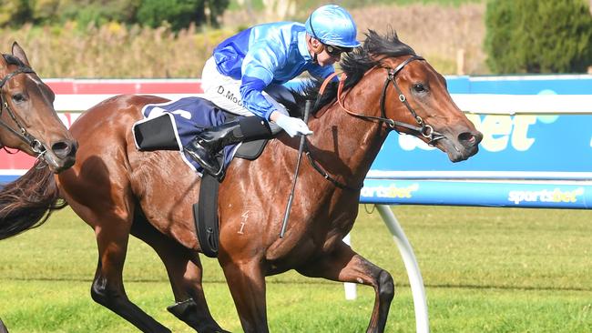 Tropicus wins at Caulfield.