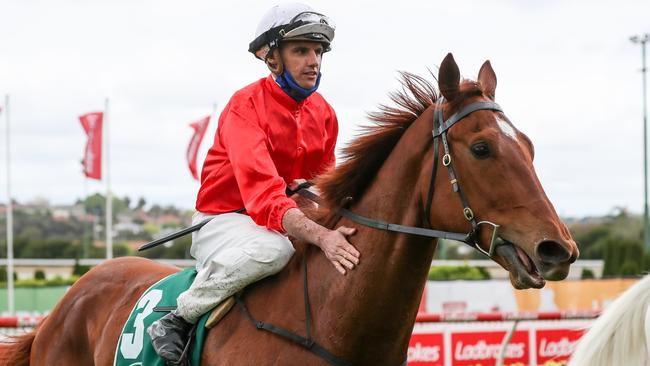 Seven-day back-up: Billy Egan returns to the mounting yard on Cherry Tortoni after winning the Vase at The Valley. Picture: Getty Images