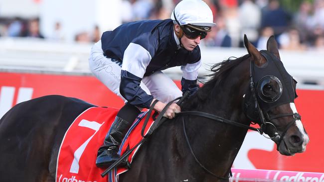 James McDonald will earn his money on Yucatan from a wide draw, but the Lloyd Williams stayer is the horse to beat. Picture: Getty Images