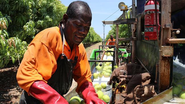 Sols Nurtano is one of the many hard workers to have benefited from the Pacific Island Workers Program