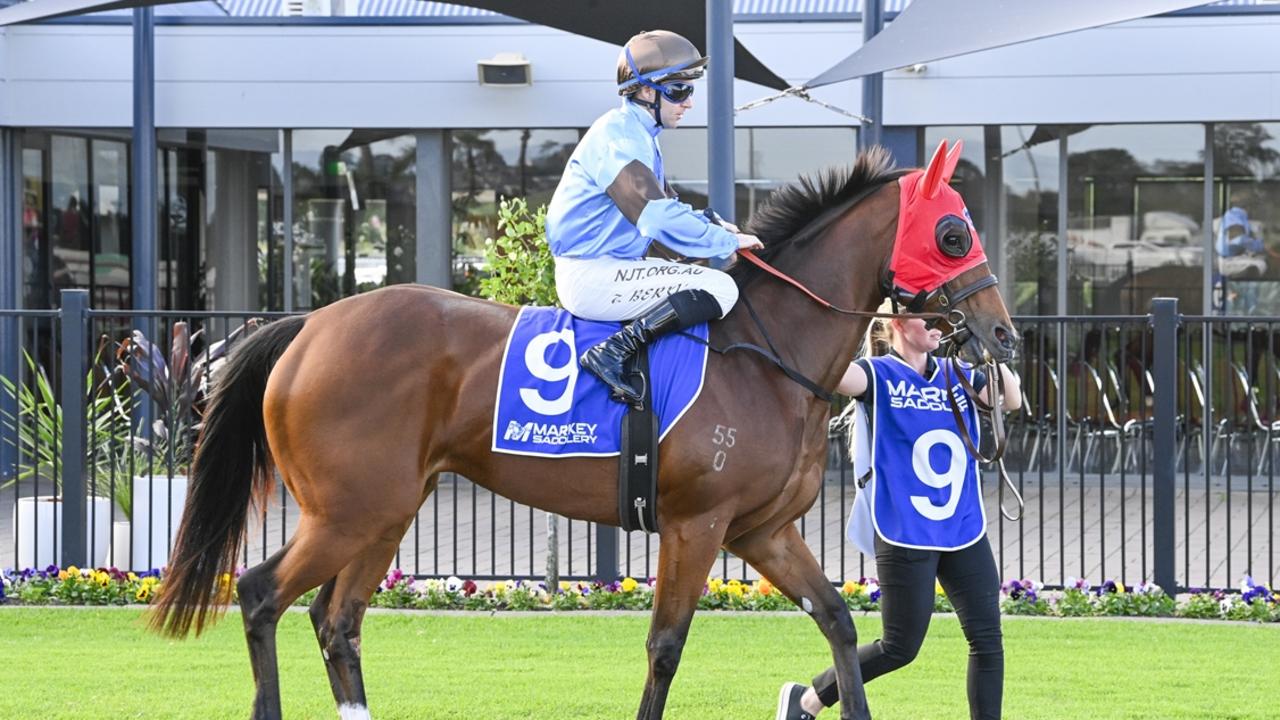 Wagga, Muswellbrook tips: Promising Me Me to land her first win
