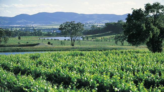 Despite back-to-back national crises, tourists continue to flock to Mudgee. Picture: Mudgee Region Tourism