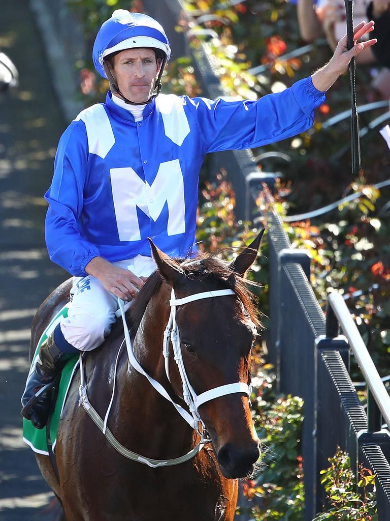 Winx horse next race: Cox Plate 2018; Avilius | The Advertiser