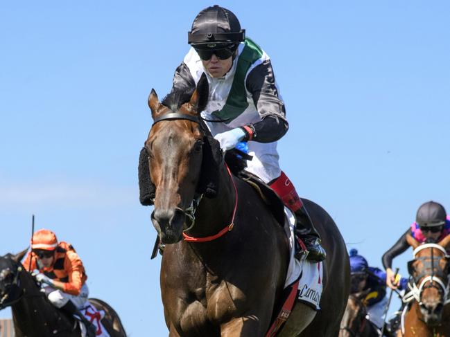 MELBOURNE, AUSTRALIA - FEBRUARY 24: Craig Williams riding Mr Brightside winning Race 7, the Lamaro's Hotel Futurity Stakes, during Melbourne Racing at Caulfield Racecourse on February 24, 2024 in Melbourne, Australia. (Photo by Vince Caligiuri/Getty Images)