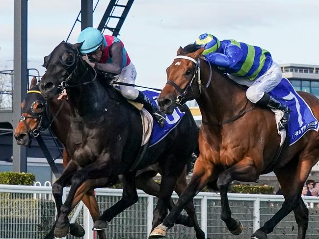 Attrition ridden by Beau Mertens wins the Hyland Race Colours Toorak Handicap at Caulfield Racecourse on October 14, 2023 in Caulfield, Australia. (Photo by Scott Barbour/Racing Photos via Getty Images)