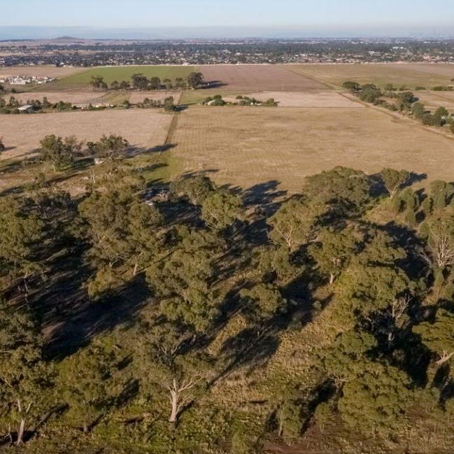 The site will be located within the City of Melton which is forecast to double its population to 416 thousand by 2051. Picture: The Greater Metropolitan Cemeteries Trust