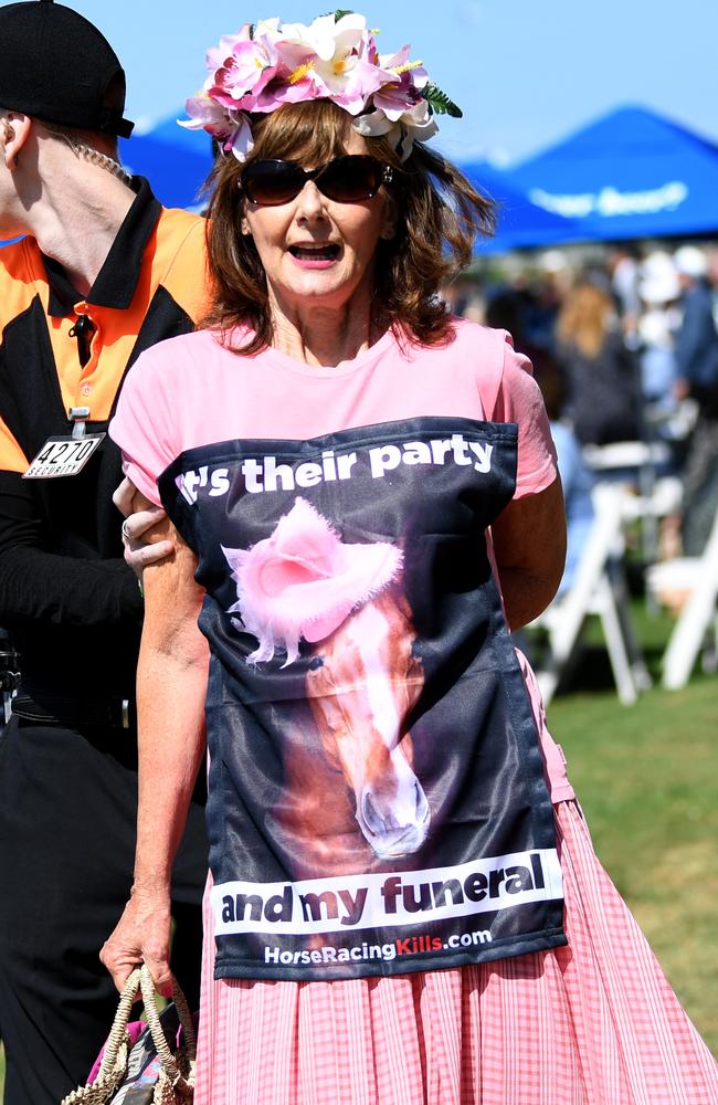 Many others also protest the Melbourne Cup. Picture: NCA NewsWire / Dan Peled