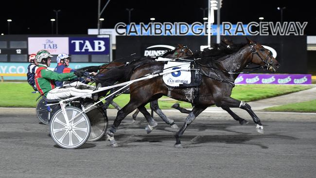 Just Believe won the inaugural TAB trot at Cambridge Raceway, which lifted him to second for prizemoney earnings by an Australian trotter. Picture: Race Images