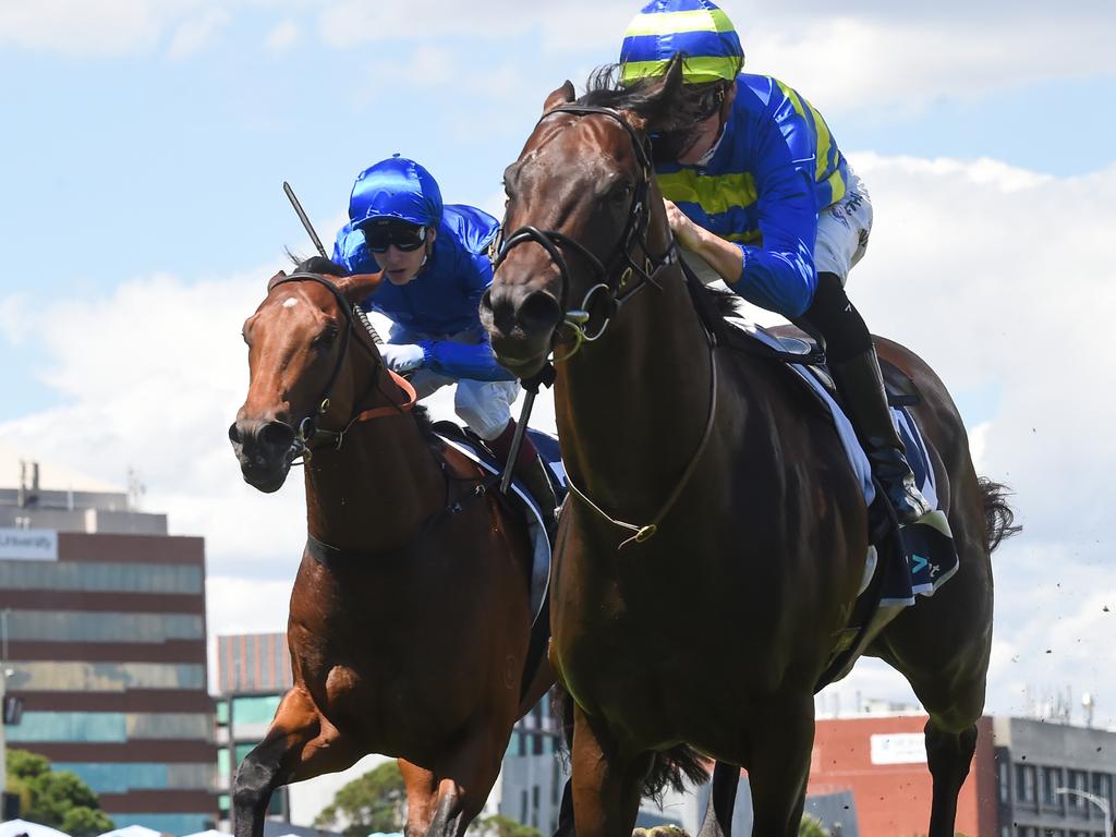 Ciaron Maher Assesses Each Of His 11 Runners At Caulfield - Racenet