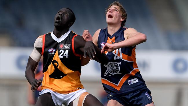 Bigoa Nyuon and Harry Jones battle in the ruck. Picture: Andy Brownbill