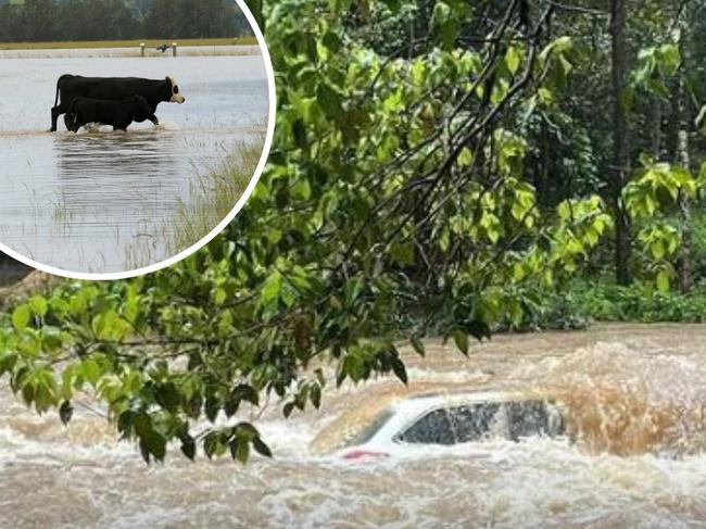 Northern NSW September flooding artwork