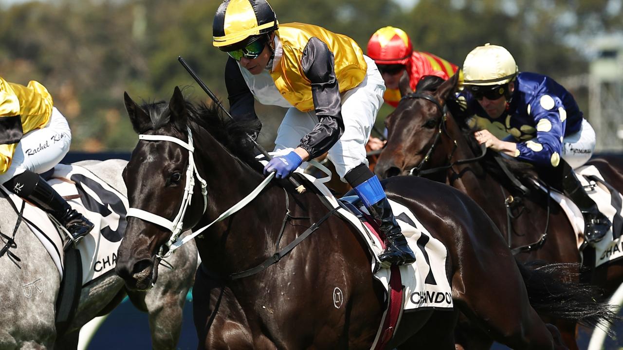 Geelong Cup drama favourite pulled from main event