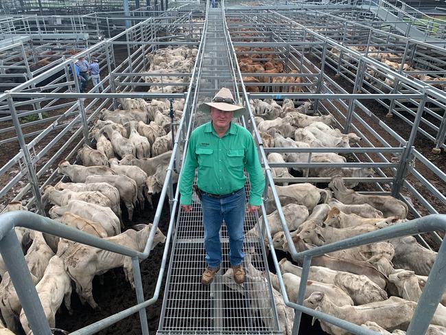 Graziers walk away with big bucks at CQLX cattle sales