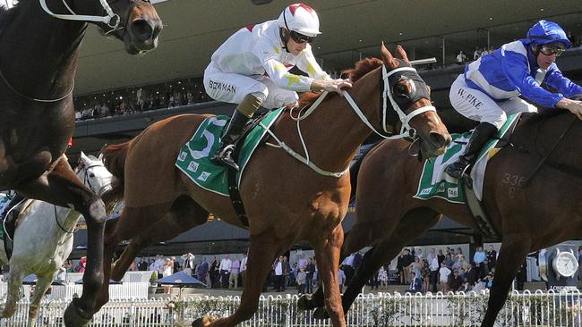 Hameron can make amends for his last start defeat. Picture: Getty Images