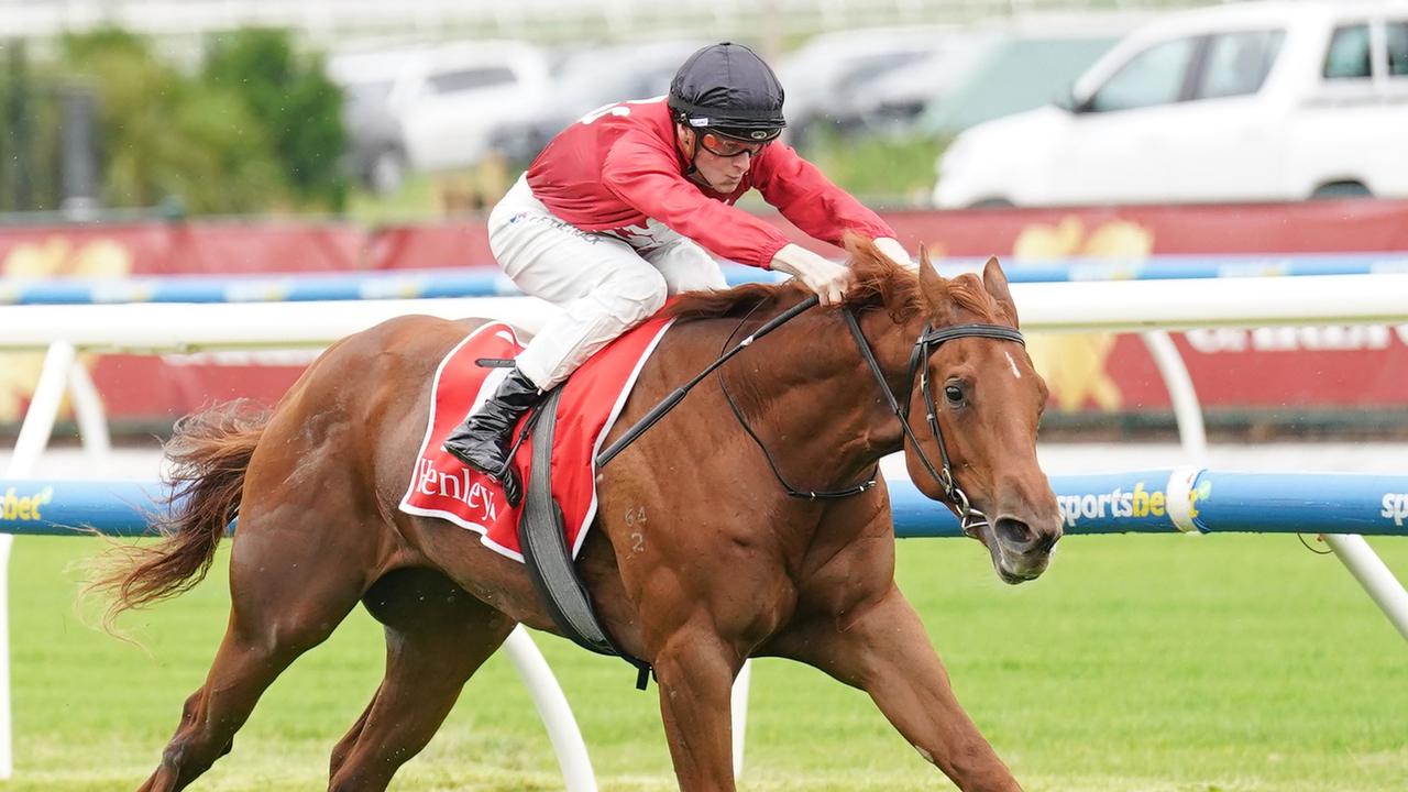 Palm Angel led all the way in her debut win in the Merson Cooper Stakes in November. Picture: Scott Barbour/Racing Photos via Getty Images