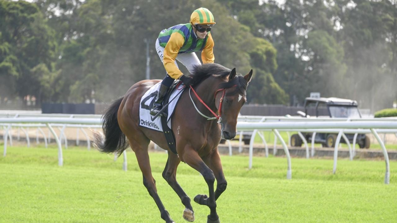 Former Joe Pride gelding, Captain Kenny, looks a good chance at Armidale for trainer Craig Clegg. Picture: Bradley Photos