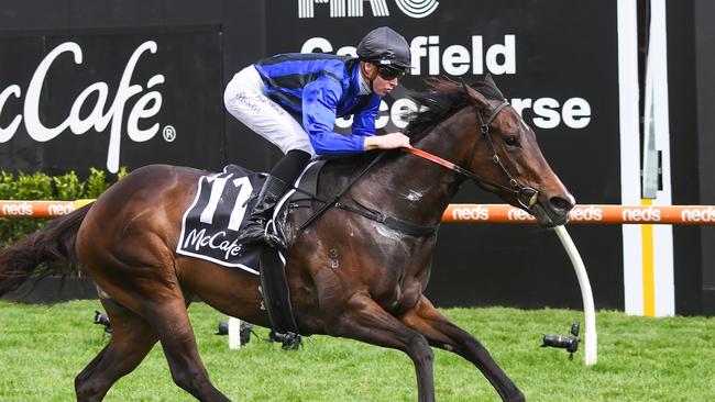 Asfoora will chase her first Group 1 win in the $750,000 Moir Stakes at The Valley on Friday night. Picture: Racing Photos via Getty Images