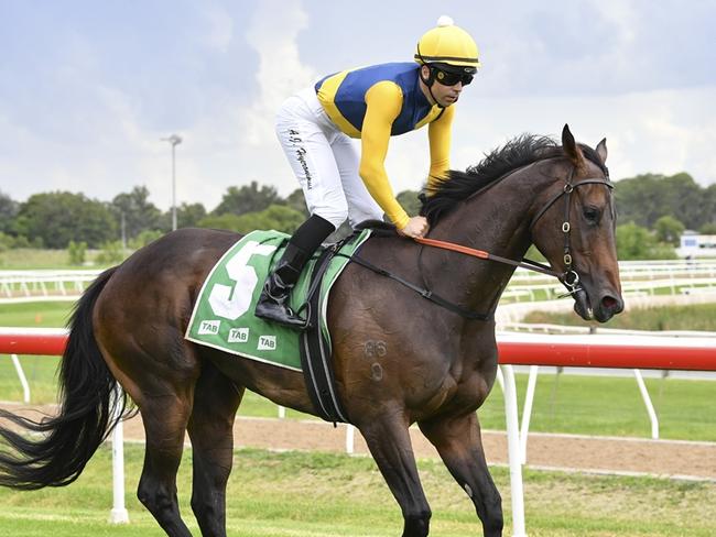 Bonita Queen and Adam Hyeronimus reunite at Warwick Farm on Wednedsay and will prove hard to beat. Picture: Bradley Photos