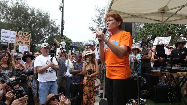 One Nation Senator Pauline Hanson debates vaccination mandates. Picture: Mike Batterham